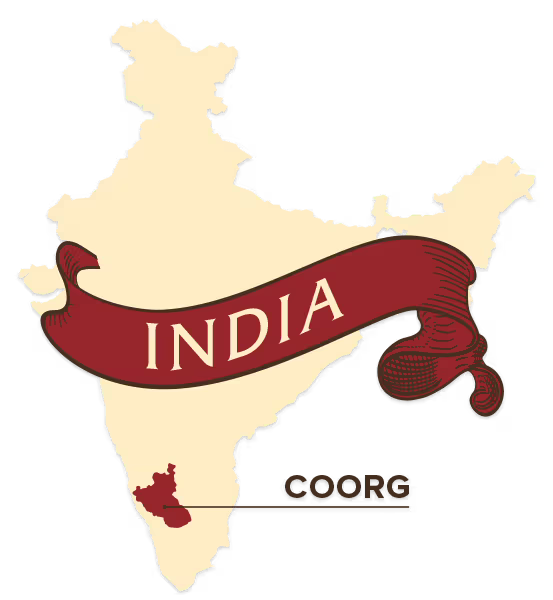 Coorg (Medium Roast) Subscription